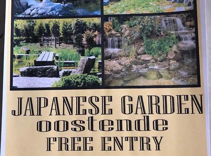 Royal Zeezicht 公寓 奥斯滕德