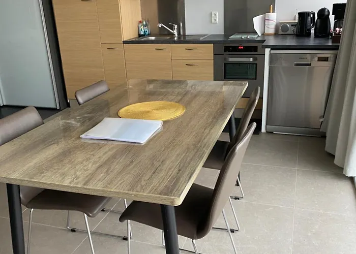 公寓 Royal Zeezicht 奥斯滕德